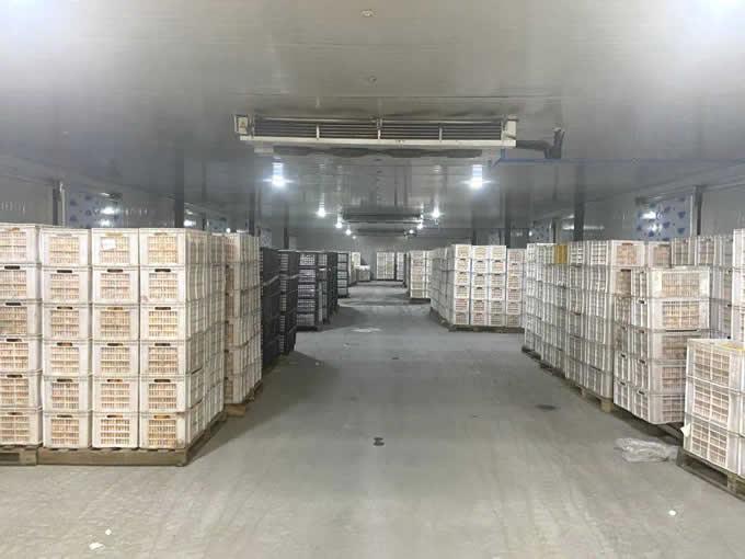 氣調庫的特點及優點有哪些？