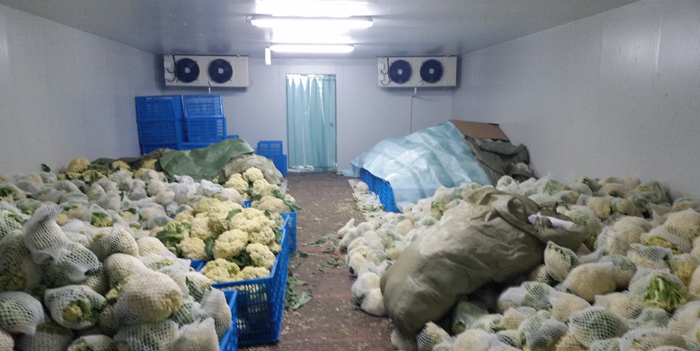 果蔬保鮮冷庫(kù)工程