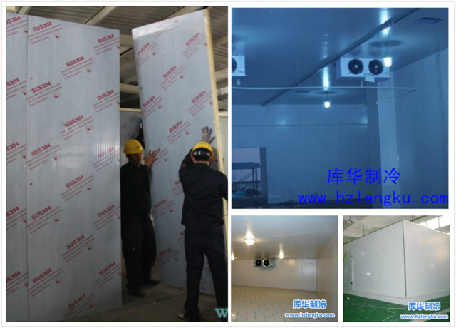 松陽疾控中心藥品試劑冷庫