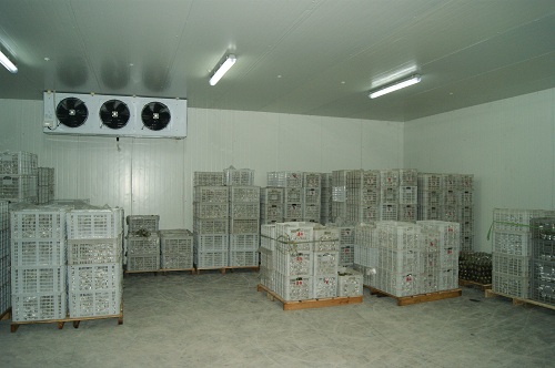 密之源果業(yè)氣調(diào)冷庫(kù)