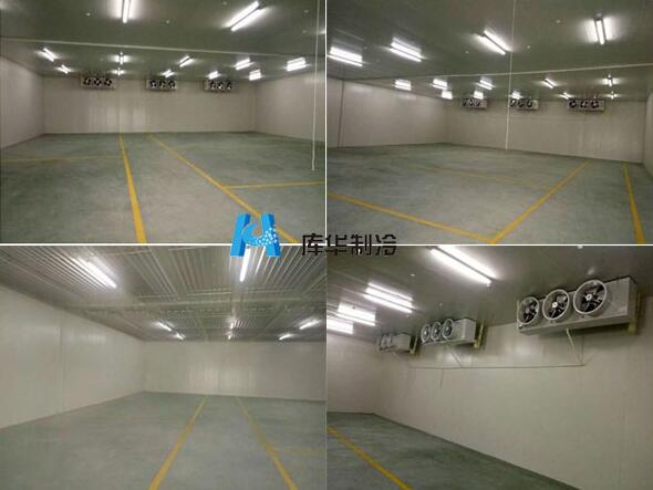 新安實業果蔬保鮮冷庫建造工程