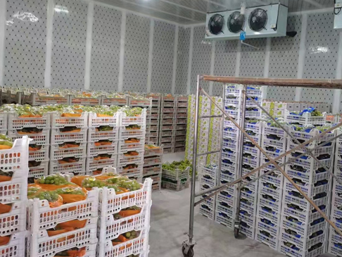 冷庫(kù)建造 1000平米保鮮冷庫(kù)造價(jià)怎么計(jì)算