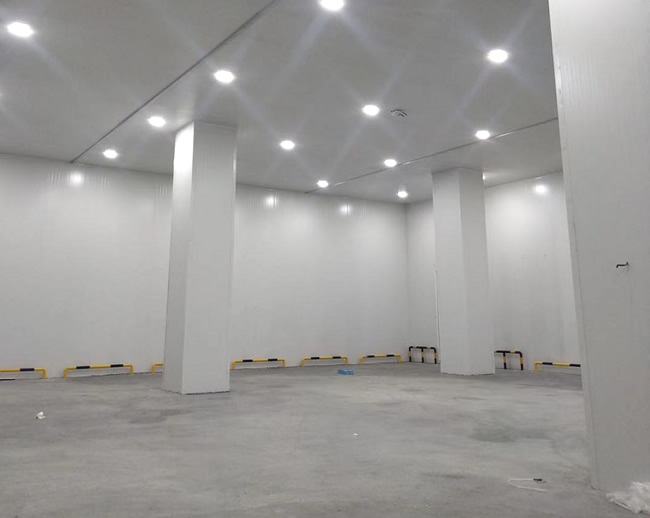 醫藥藥品冷庫溫濕度監測系統