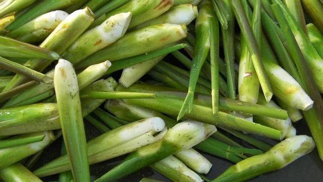 蔬菜冷庫(kù)建造溫度 茭白保鮮冷庫(kù)存放技術(shù)