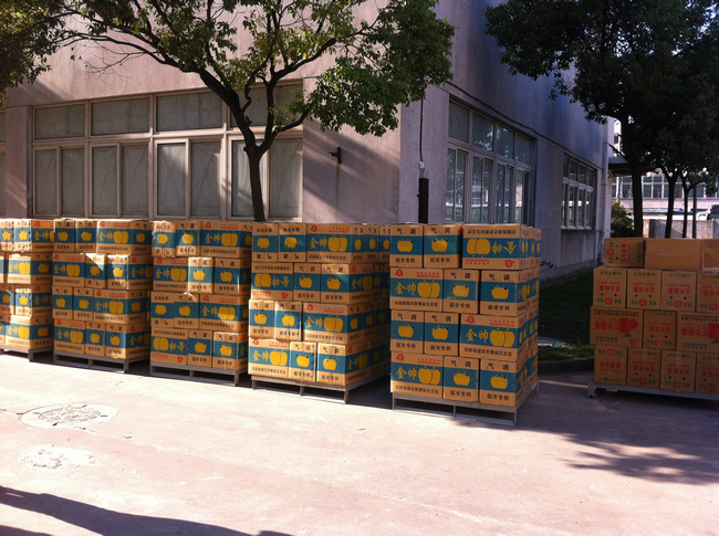 蘋果保鮮冷庫的設備要求和造價計算