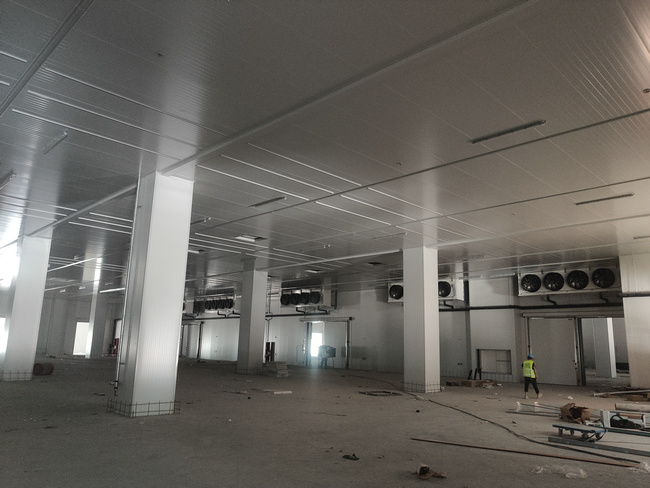 建造5000平方大型冷庫需要多少成本