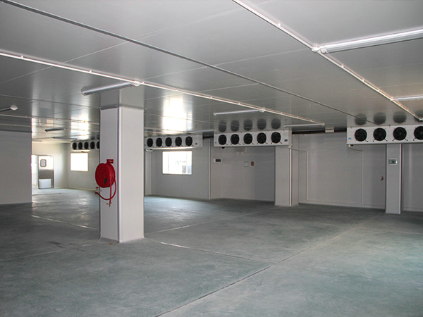 建造一個100平方肉類冷庫要多少錢？