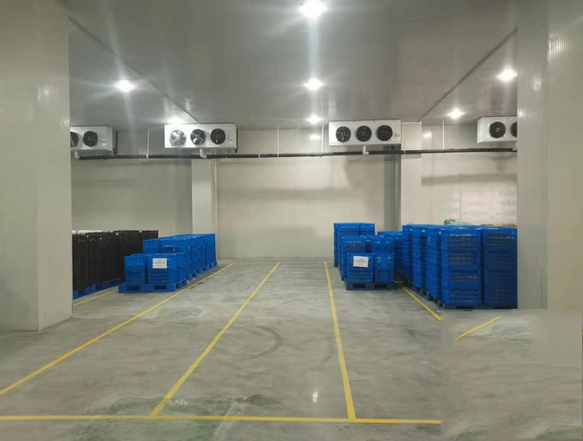 金華建一個(gè)水果冷庫(kù)需要多少錢(qián)？